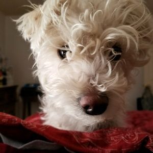 Meet your Posher, Sylvia